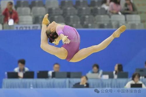 成人体操进场视频大全,成人体操进场视频大全赏析