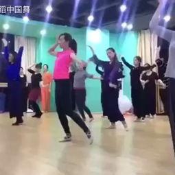 成人的舞蹈基本视频,揭秘成人舞蹈基本动作与魅力