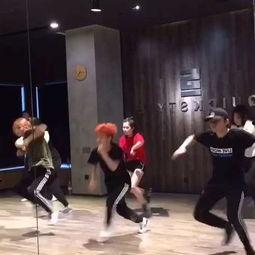 成人的舞蹈基本视频,揭秘成人舞蹈基本动作与魅力