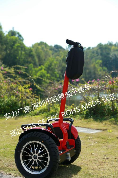 玩平衡车视频成人