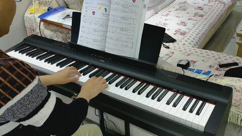 分享成人钢琴自学视频