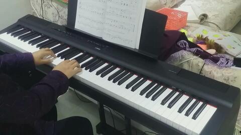 分享成人钢琴自学视频