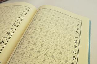 成人楷书视频教程大全,视频教程大全深度解析