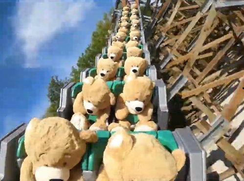 坐成人过山车的视频,体验过山车速度与激情