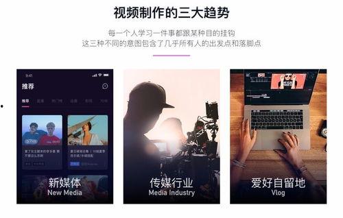 拼图初级成人教程视频,轻松入门，开启拼图乐趣之旅