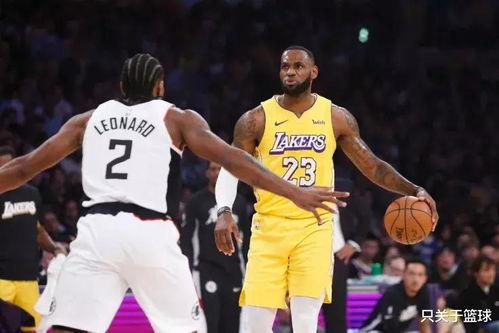 如何安装成人篮筐视频,成人篮筐安装视频教程