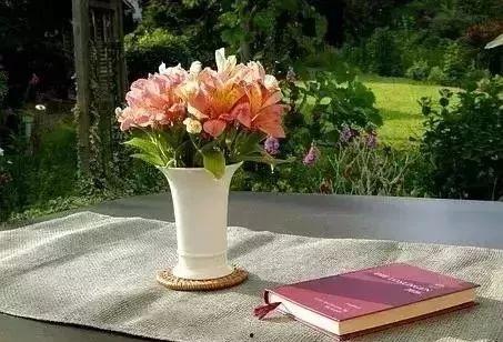 成人恶搞花束视频大全集,成人趣味视频狂欢盛宴