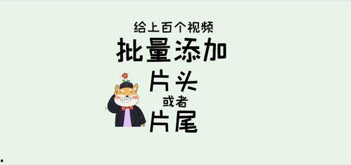 成人如何坚持写字呢视频