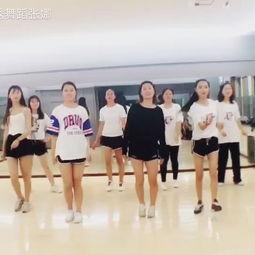 凤舞成人舞蹈视频大全集,成人舞蹈视频大全集精彩回顾