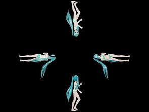 成人全息视频源