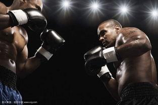 成人拳击辫子怎么绑视频,成人拳击辫子绑法教程视频概述