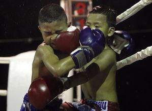 成人拳击辫子怎么绑视频,成人拳击辫子绑法教程视频概述