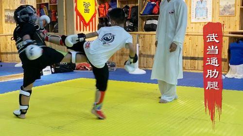 成人进阶搏击训练视频,高效提升实战技巧与体能