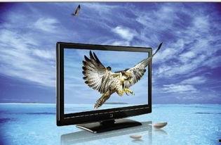 澳门成人电视频台,揭秘激情四溢的视听盛宴