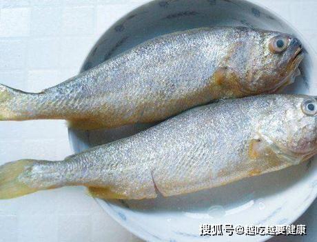 成人力推黄鱼视频,探寻美味黄鱼的烹饪之旅